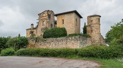 Le château de Magrin dans le Tarn