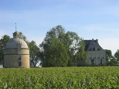 Château Latour in Pauillac