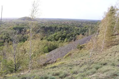 Ein Weg im Wald von Raismes-Saint-Amand-Wallers