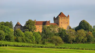 The Château du Pin above the vineyards