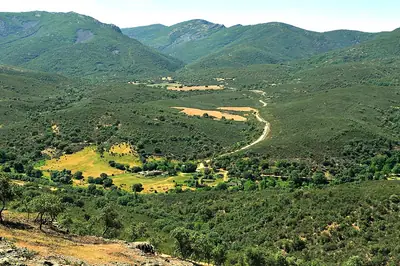 Een dal in het nationaal park Cabañeros gezien vanaf een uitkijkpunt