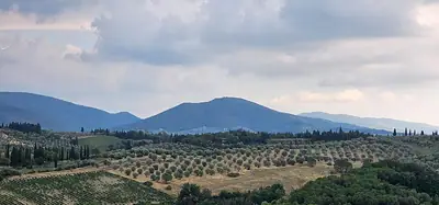 Die Hügel des Monte Colegale in der Gemeinde Impruneta