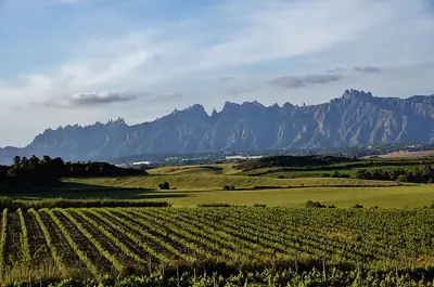 The serrated rock peaks of Montserrat