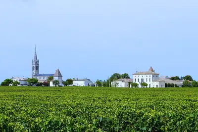 Vineyards and houses at Pomerol