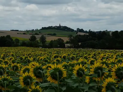 Le village de Teyssode, dans le Tarn
